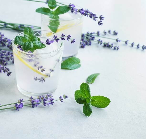 Ouzo Cocktail